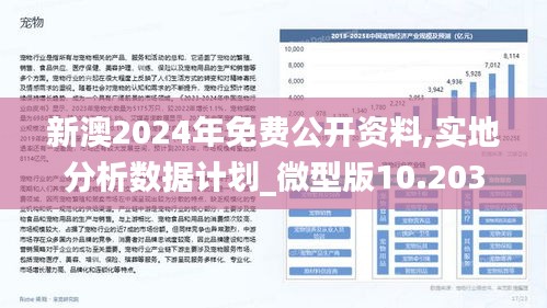 2024新澳正版资料最新更新,数据解析设计导向_顶级版34.602