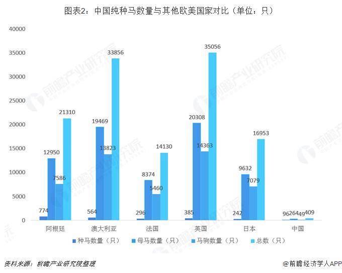 澳门马买马网站com,实地验证数据设计_PalmOS59.145